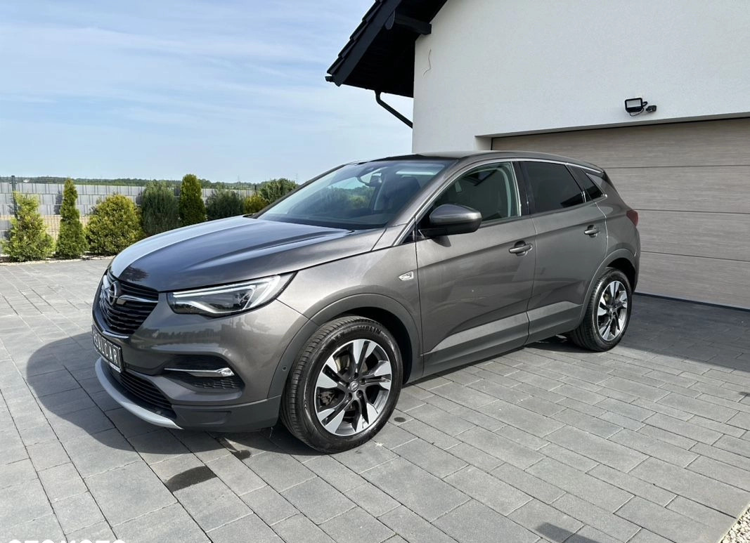 Opel Grandland X cena 65900 przebieg: 177345, rok produkcji 2019 z Nysa małe 781